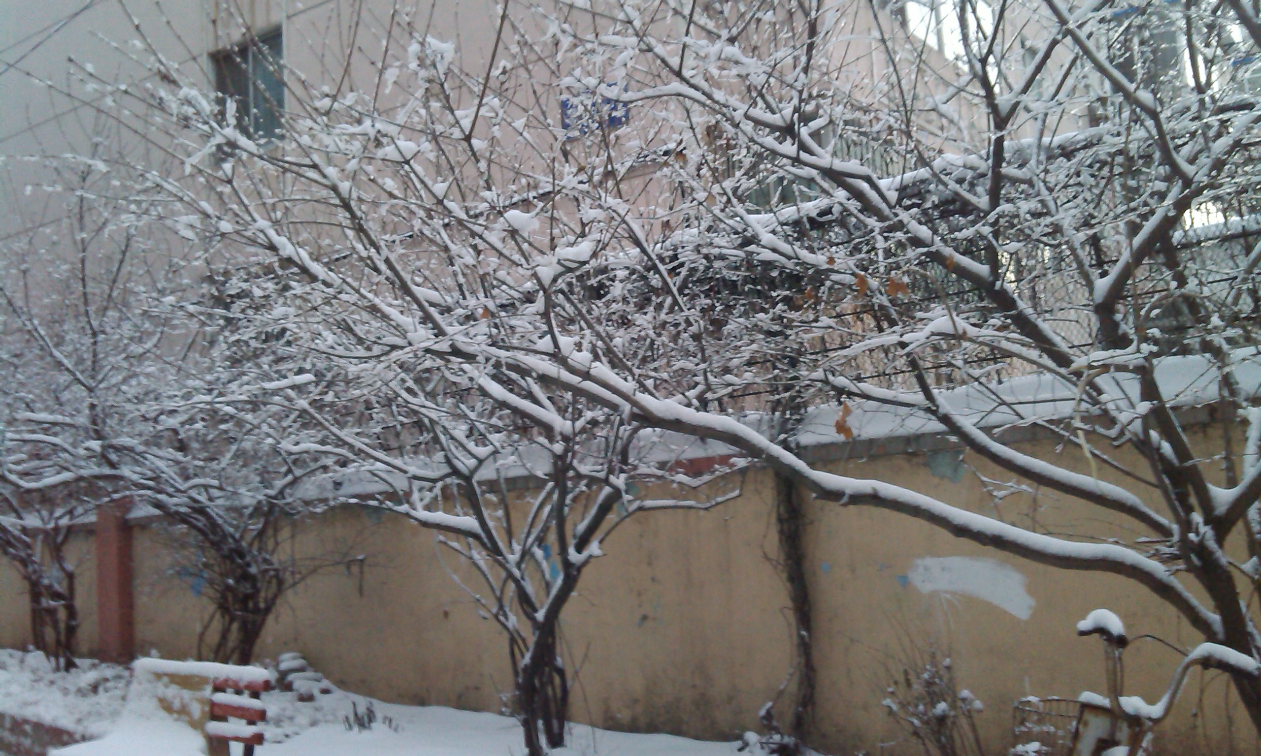 IMG_Ali_00030.jpg