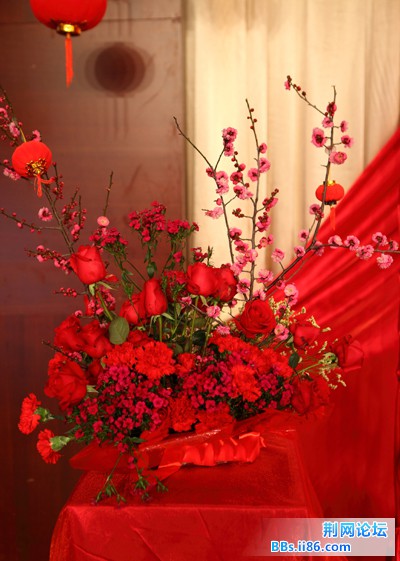 IMG_3712.JPG
