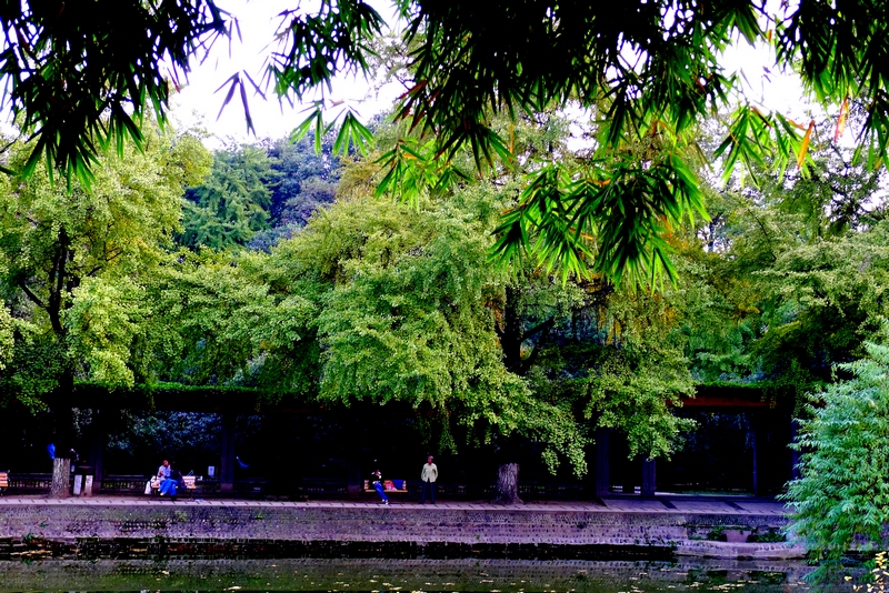 P1080823.jpg