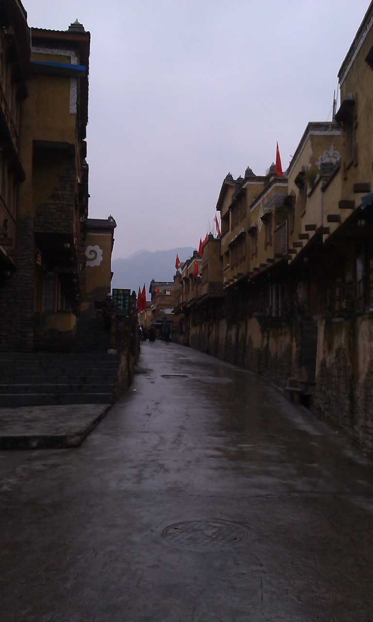 IMAG0249.jpg