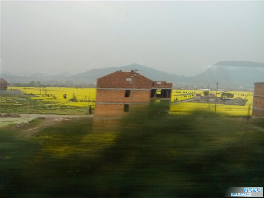 IMG_20130319_123739.jpg