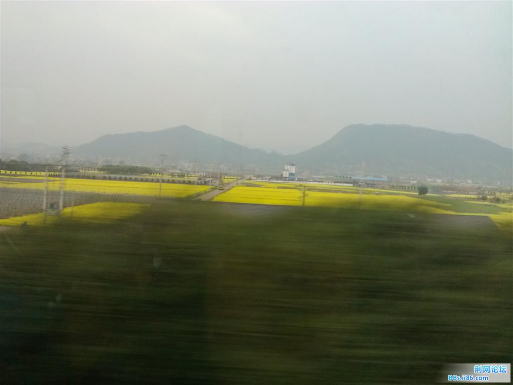 IMG_20130319_123752.jpg