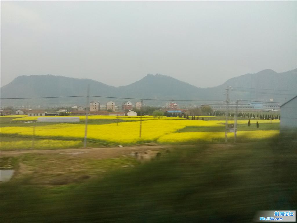 IMG_20130319_123809.jpg