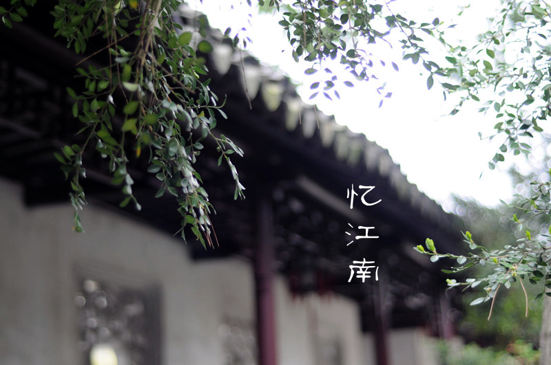 DSC_0092_副本.jpg