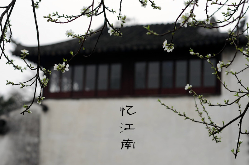 DSC_0146_副本.jpg