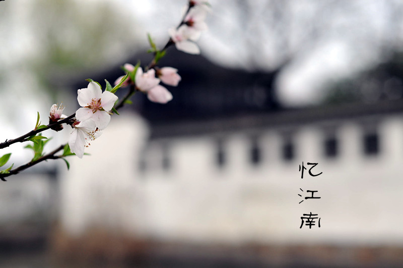 DSC_0192_副本.jpg