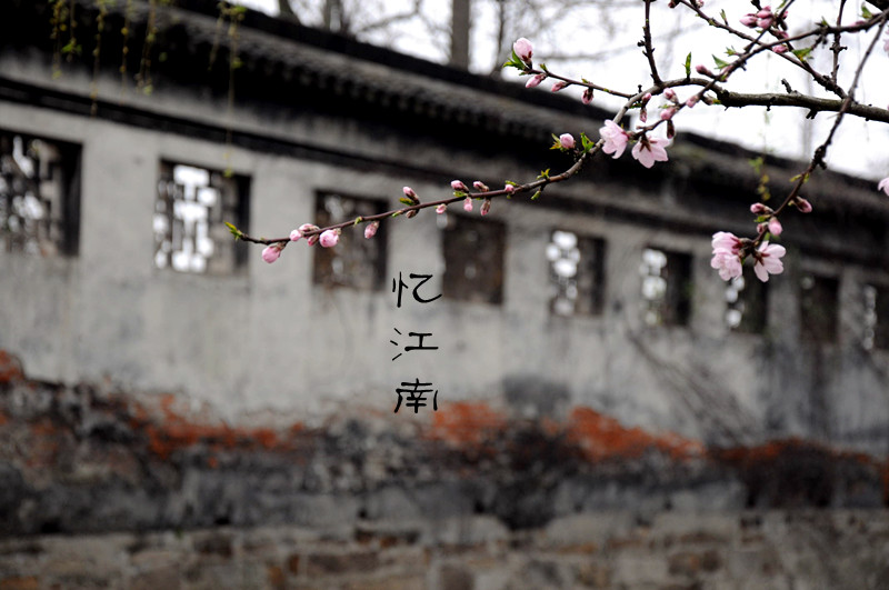 DSC_1333_副本.jpg