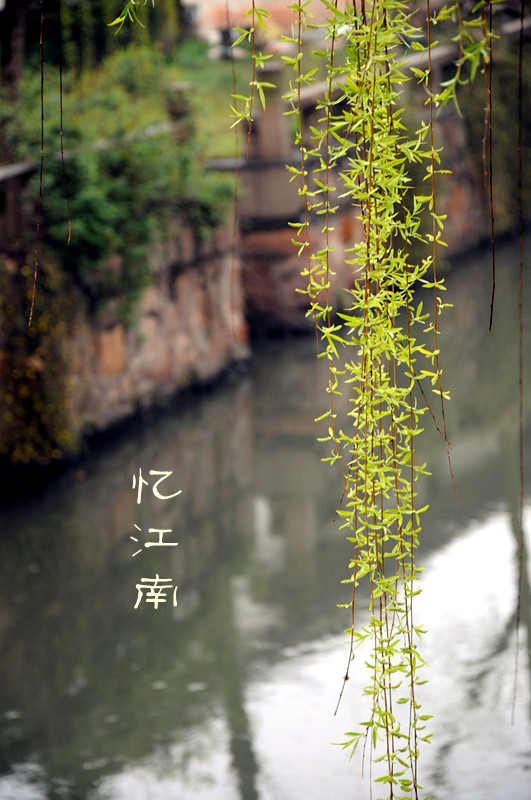 DSC_1141_副本.jpg
