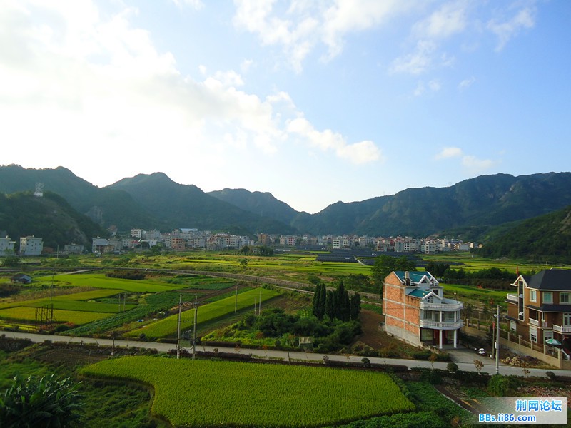 这才是白日岙全景