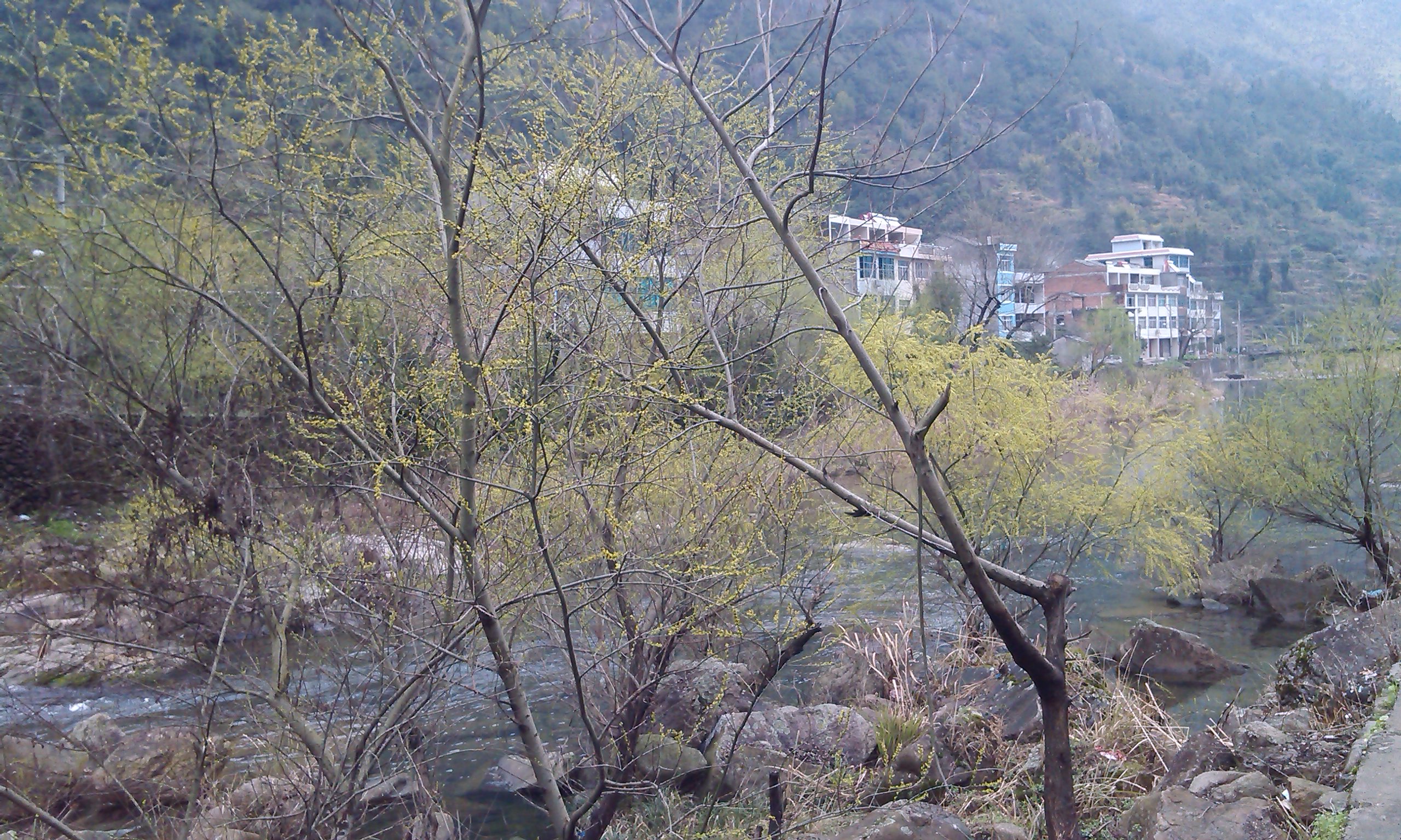 IMG_Ali_00010.jpg