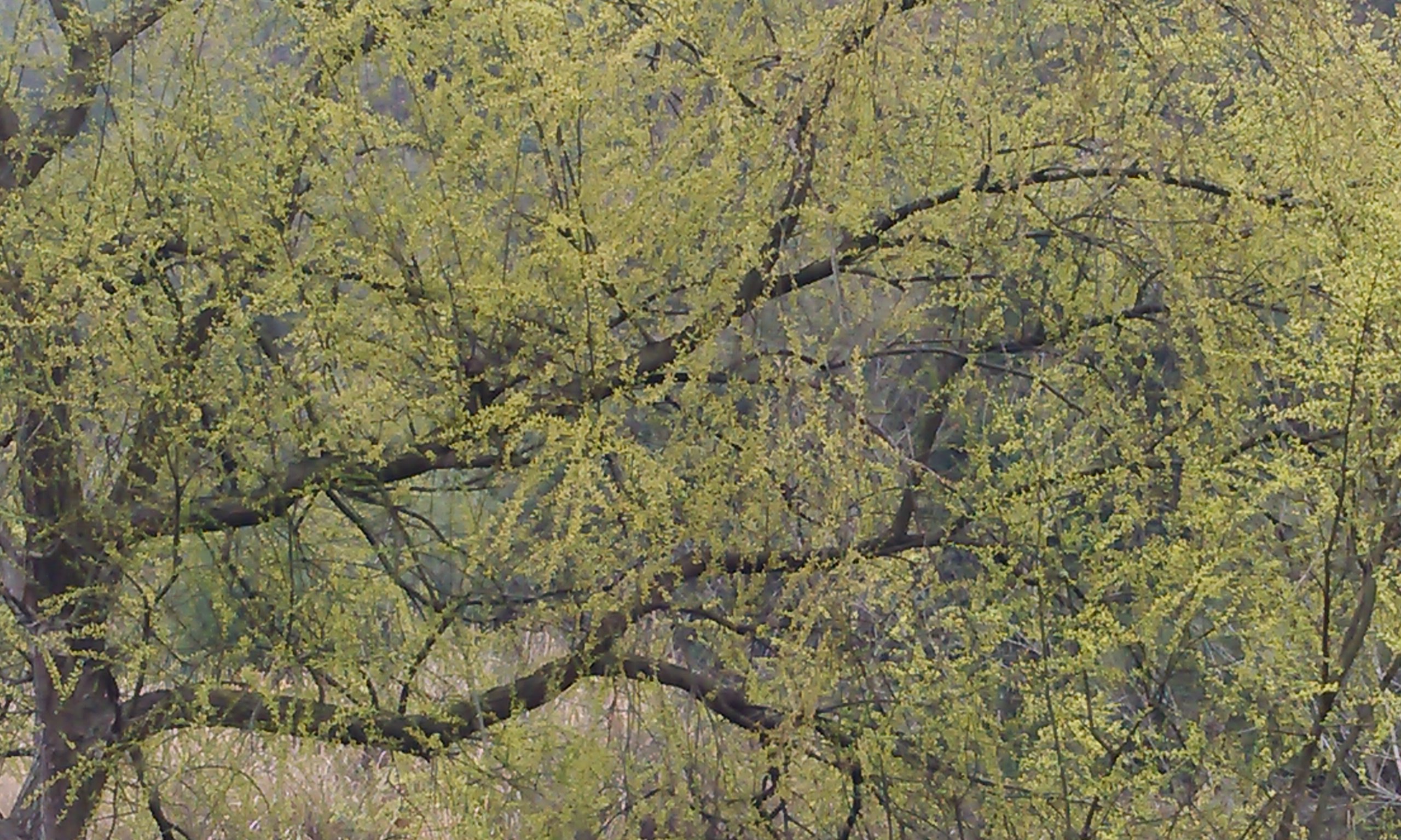 IMG_Ali_00045.jpg