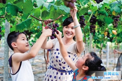 QQ截图20130711095425.jpg
