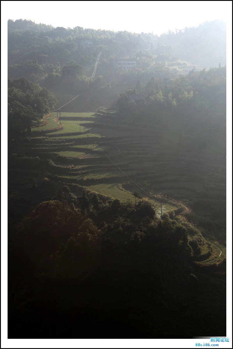 蔡界山BI0E5785.JPG