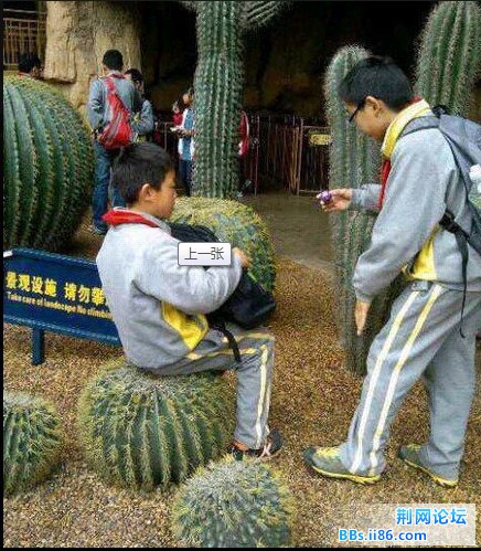 QQ图片20130730110837.jpg