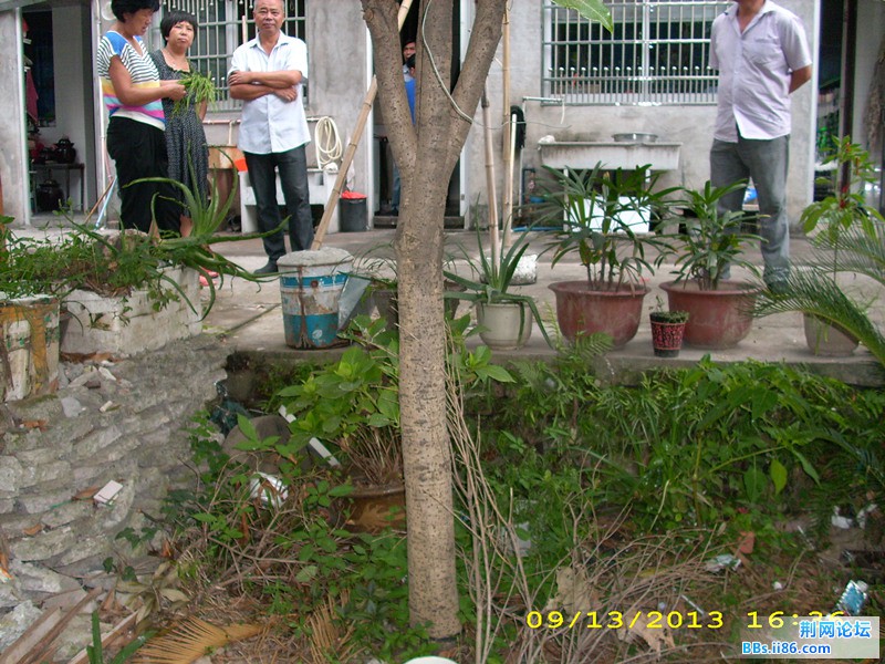 DSCI0021.JPG