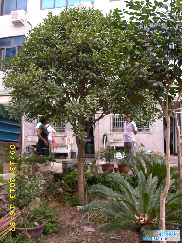 DSCI0024.JPG