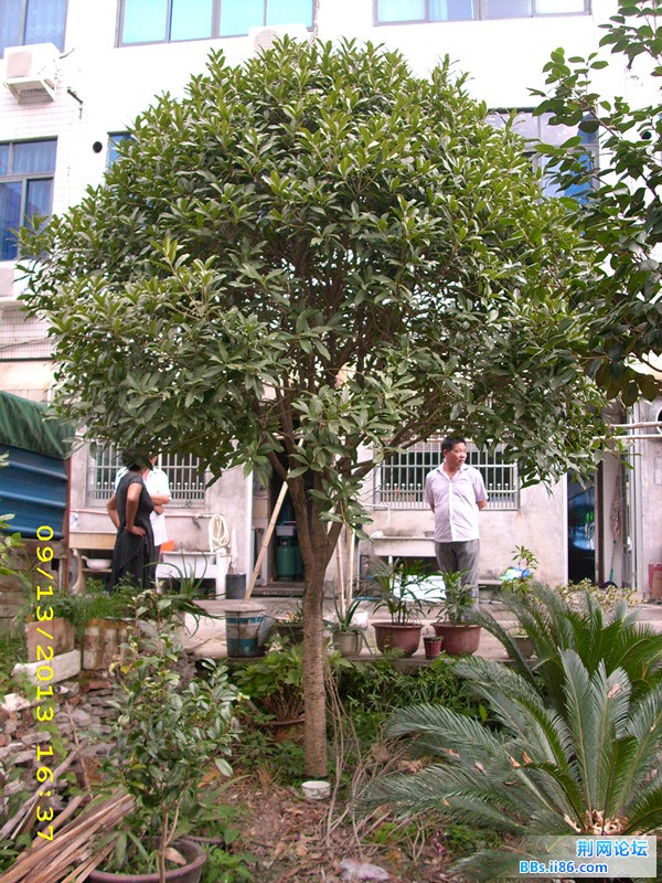 DSCI0025.JPG