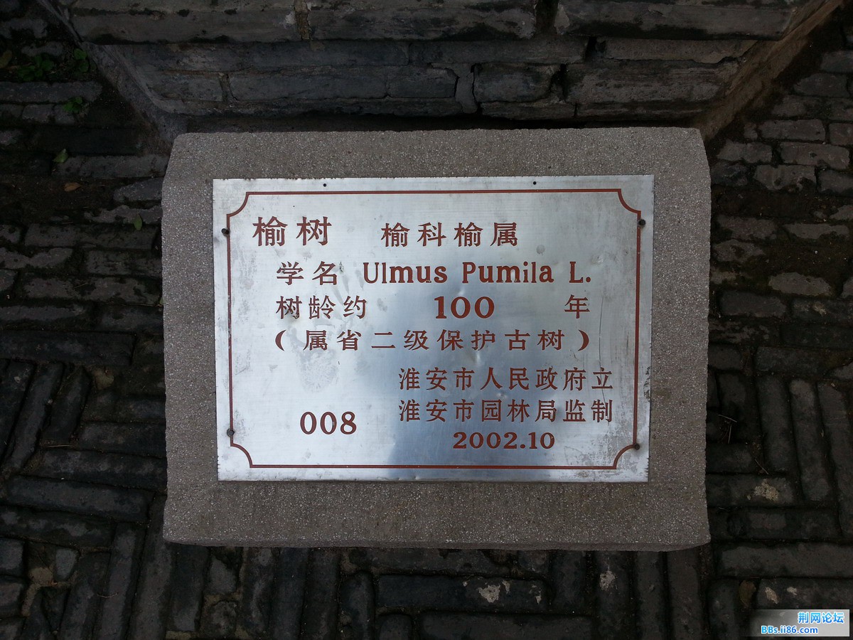 20130926_143116.jpg