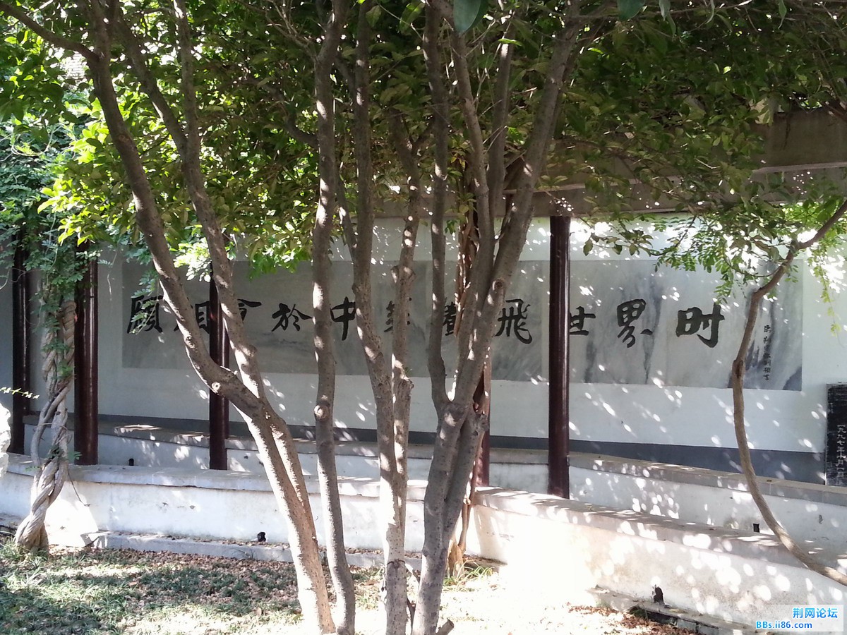 20130926_144219.jpg