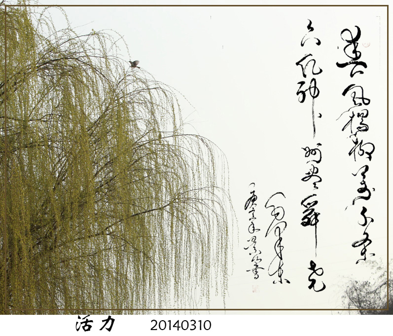 BI0E8545.jpg