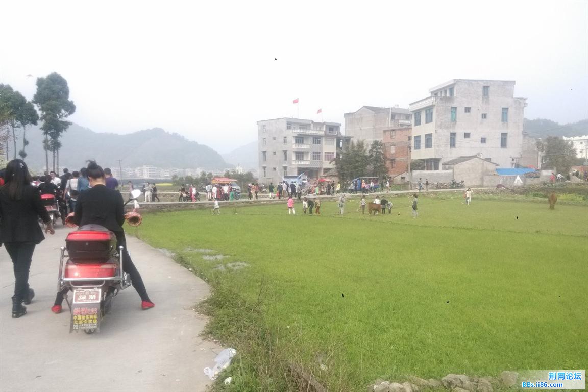 QQ截图20140330161604.jpg