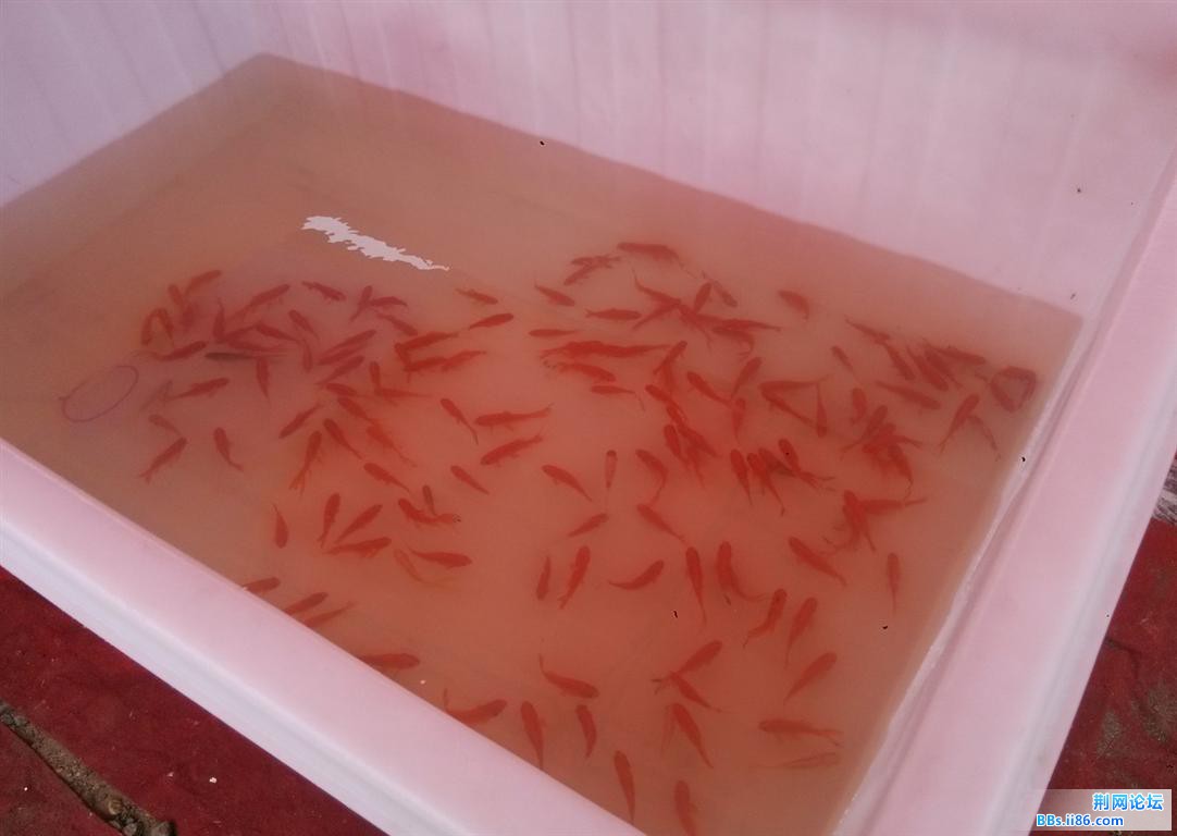 QQ截图20140330161835.jpg