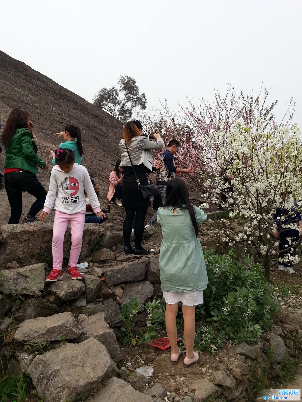 20140330_162138.jpg