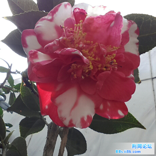 20140403_100820-2.jpg