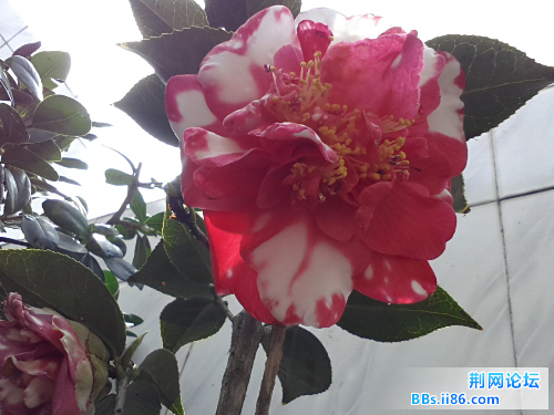 20140403_100820.jpg