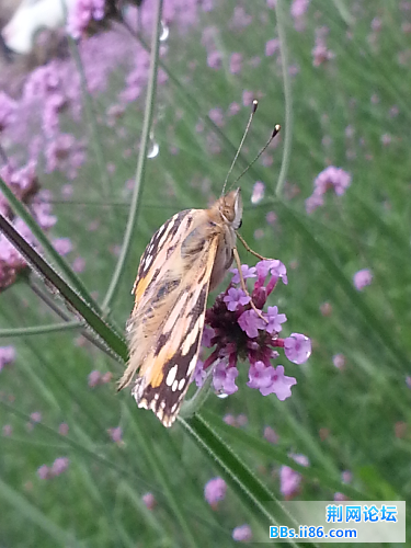20140601_143021.jpg