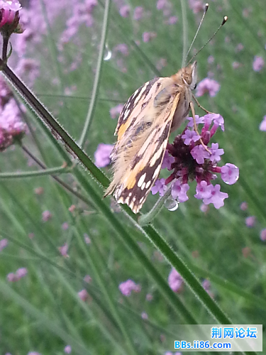 20140601_143019.jpg
