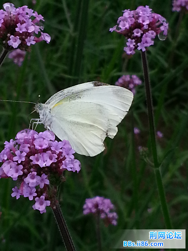 20140601_142943.jpg