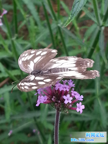 20140601_141408.jpg