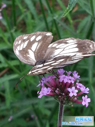 20140601_141411.jpg