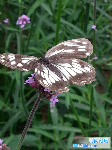 20140601_141355.jpg
