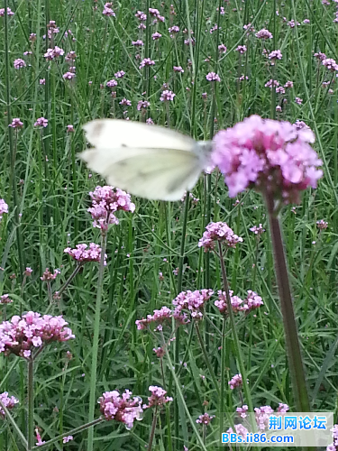 20140601_143234.jpg