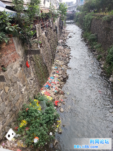 20140604_073515.jpg
