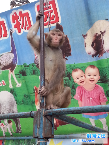 20140609_182323.jpg