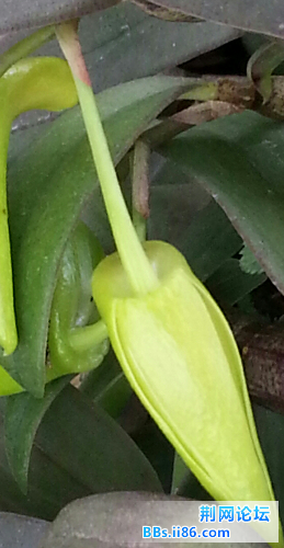 20140609_144727-1-1.jpg