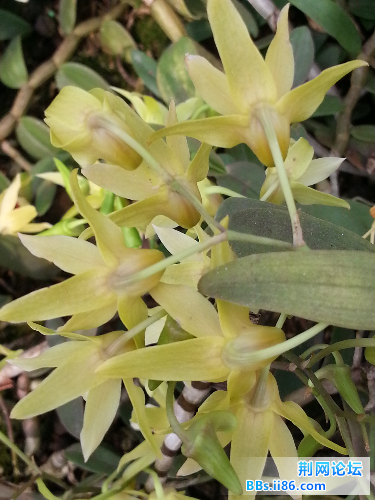 20140609_143717.jpg