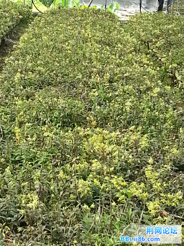 20140609_144450.jpg