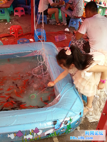 20140610_140511.jpg