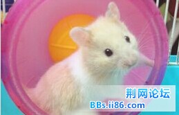 QQ图片20140628125918.jpg
