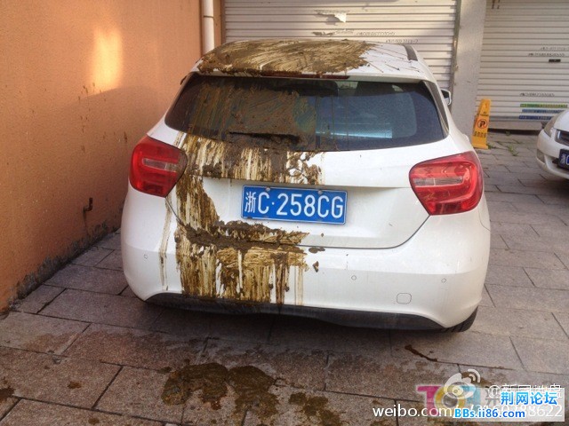 105943gm3qr5fflm4nk7r5.jpg