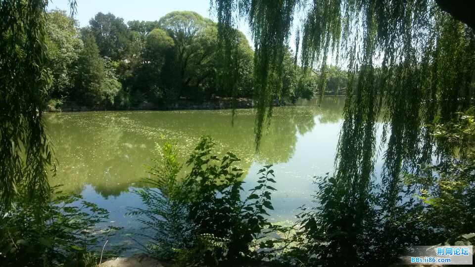 QQ图片20140710114100.jpg