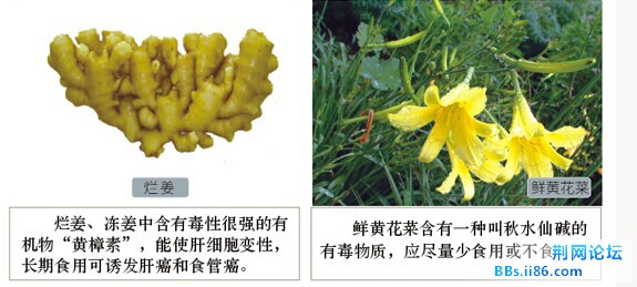 QQ图片20140729092944.jpg