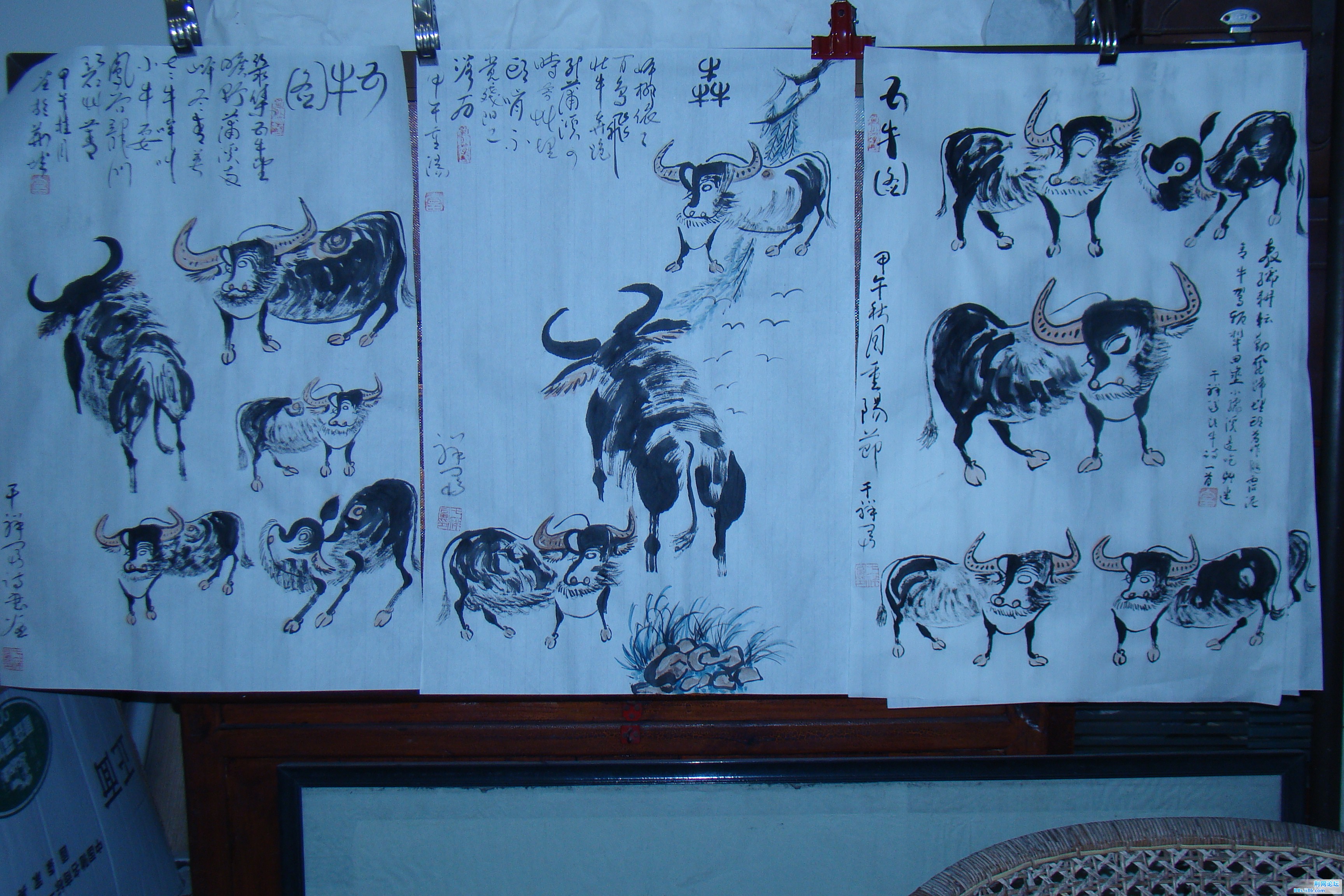 DSC09740.JPG