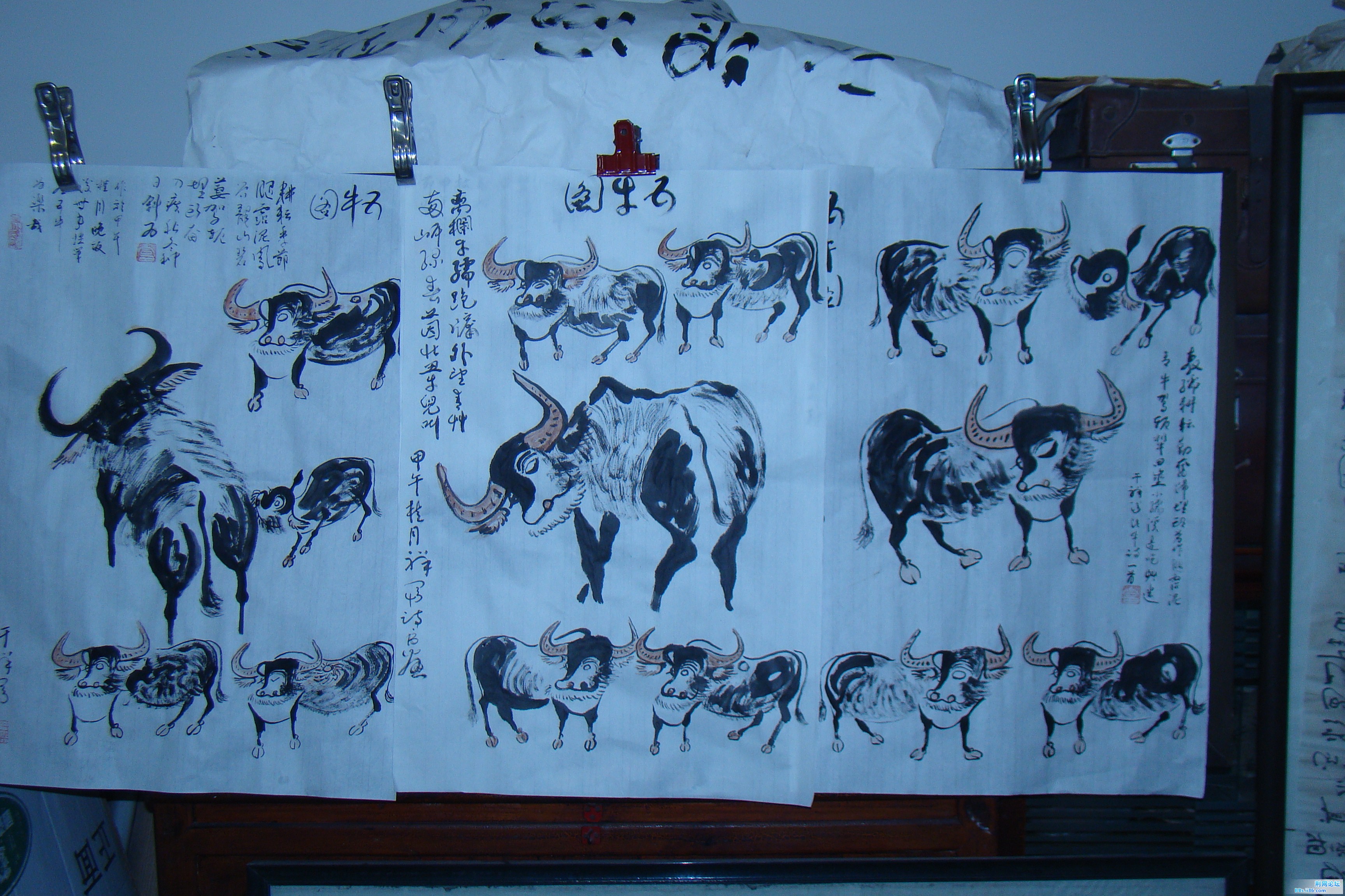 DSC09742.JPG