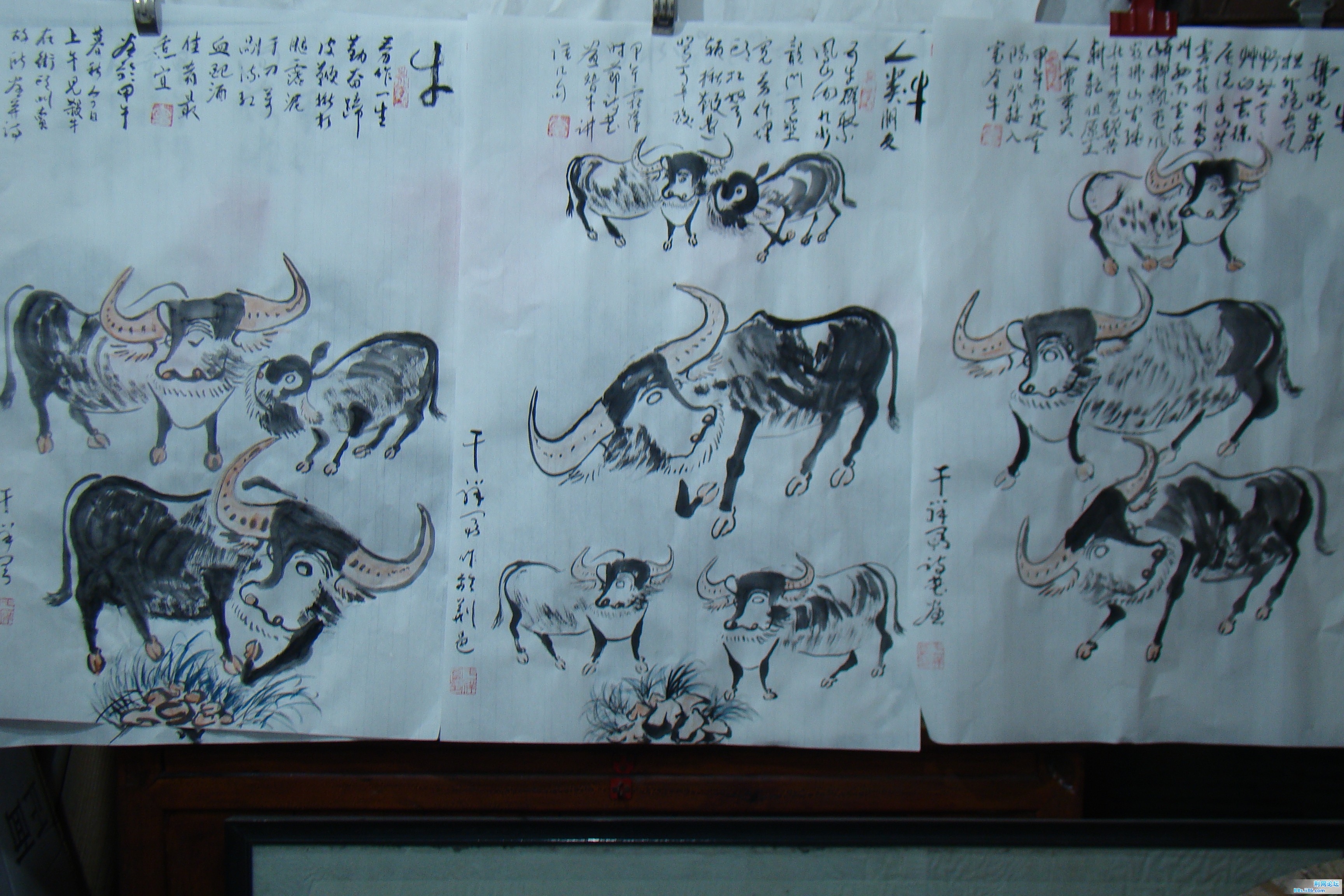 DSC09763.JPG