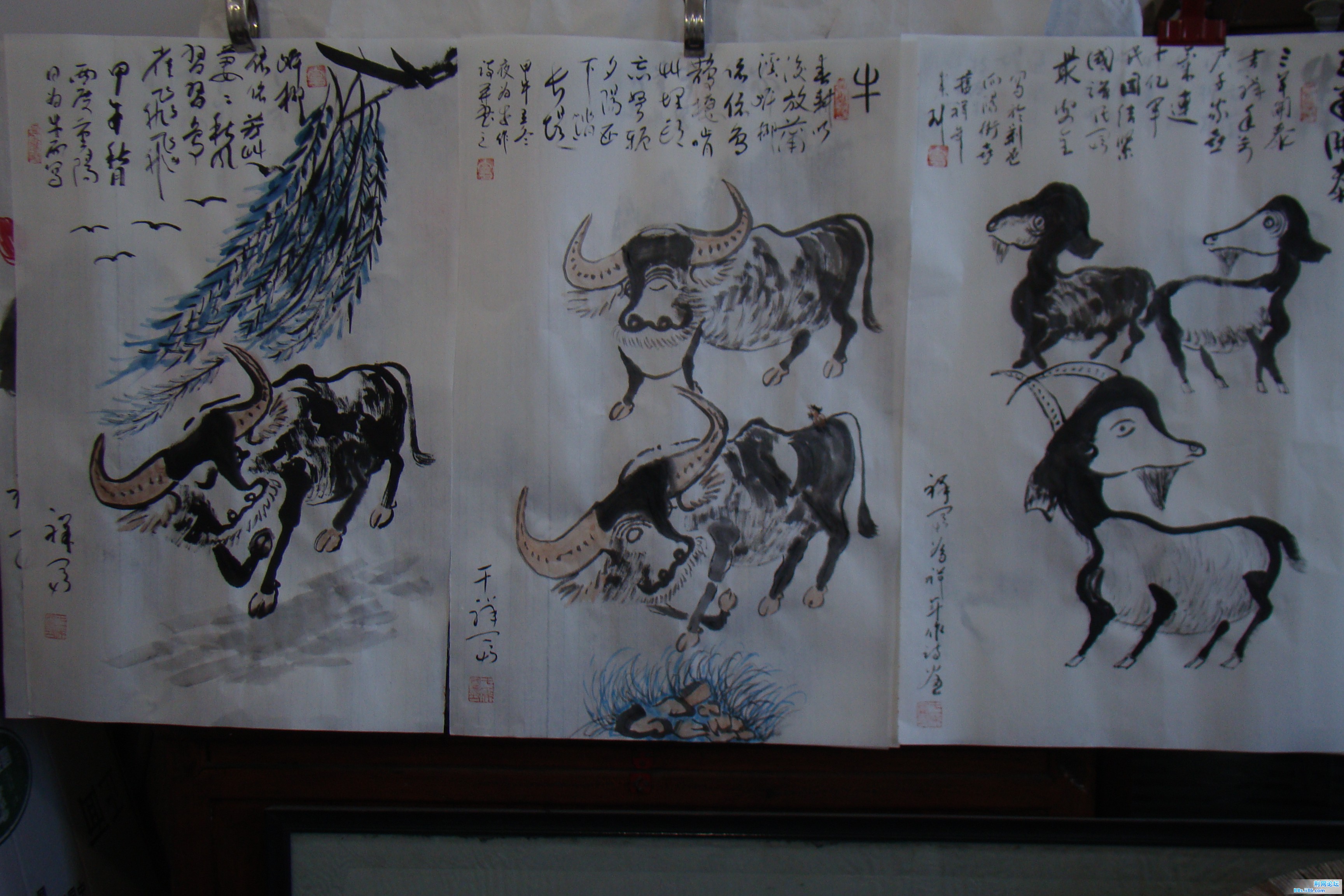 DSC09766.JPG